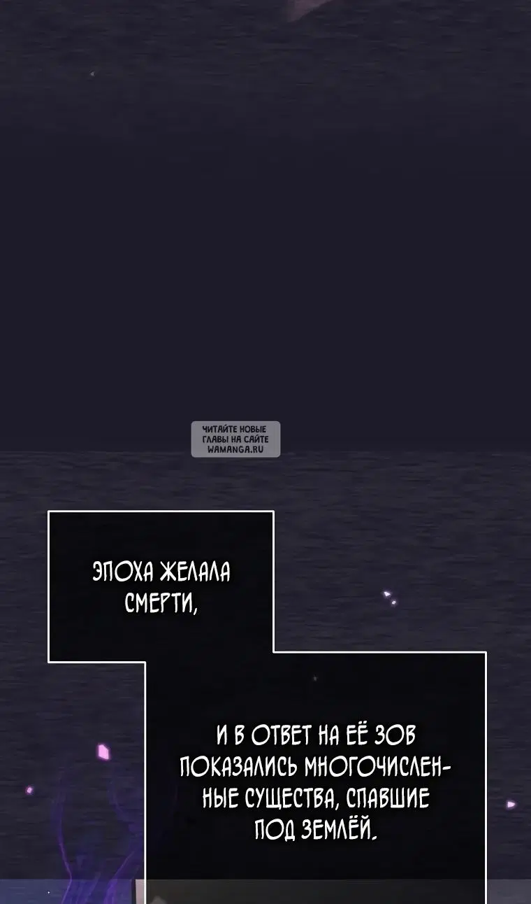 Page 81.000
