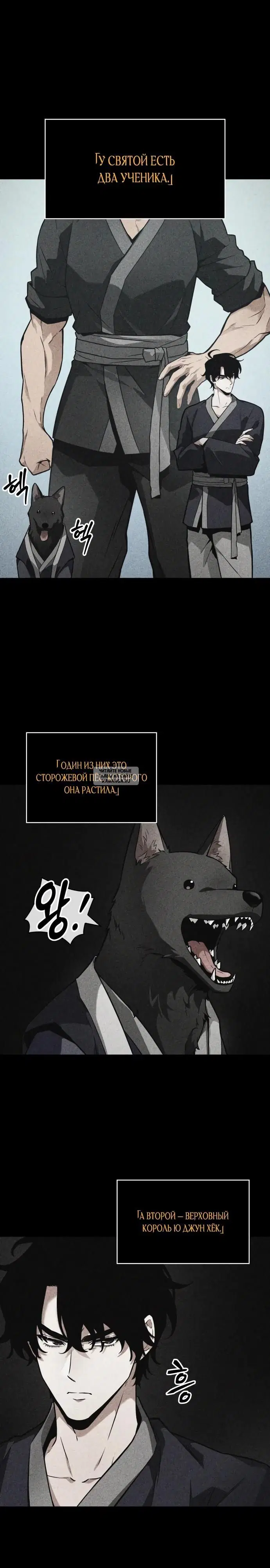 Page 20.000