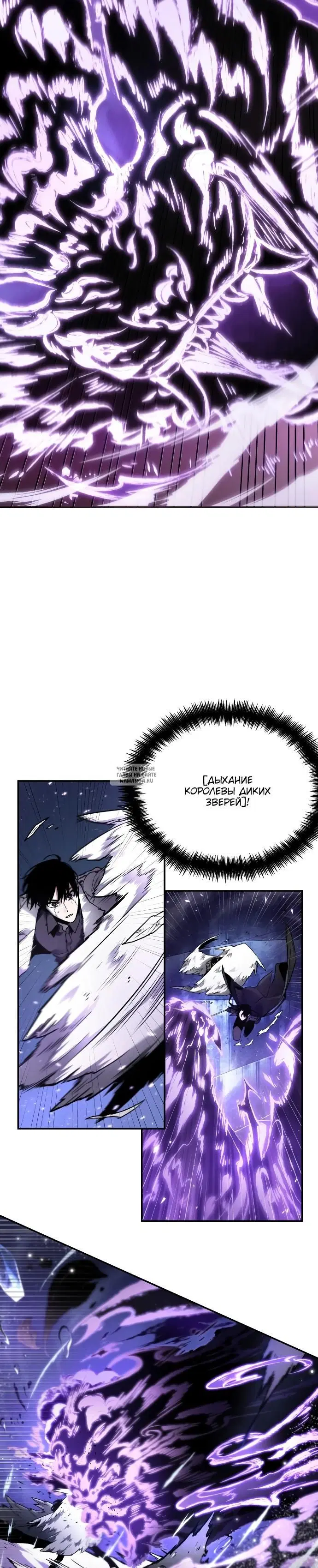 Page 21.000