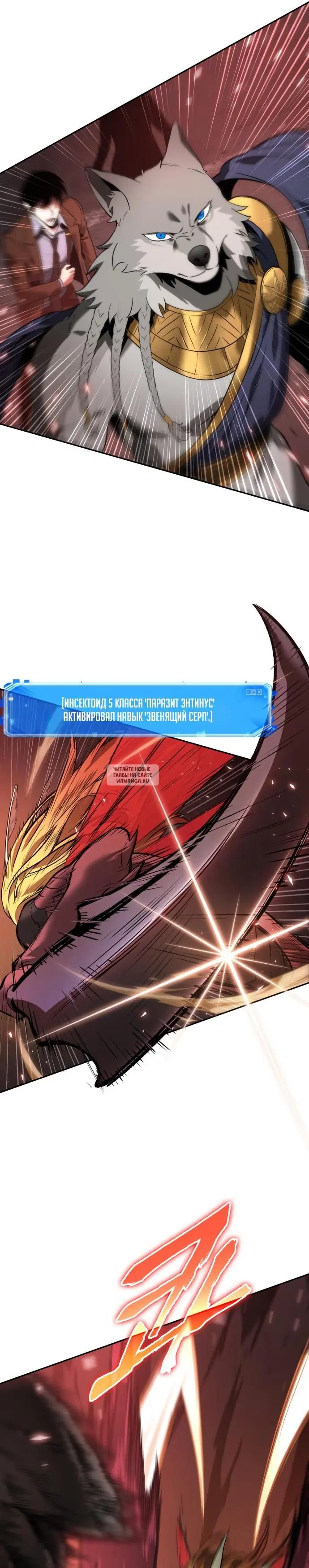 Page 31.000