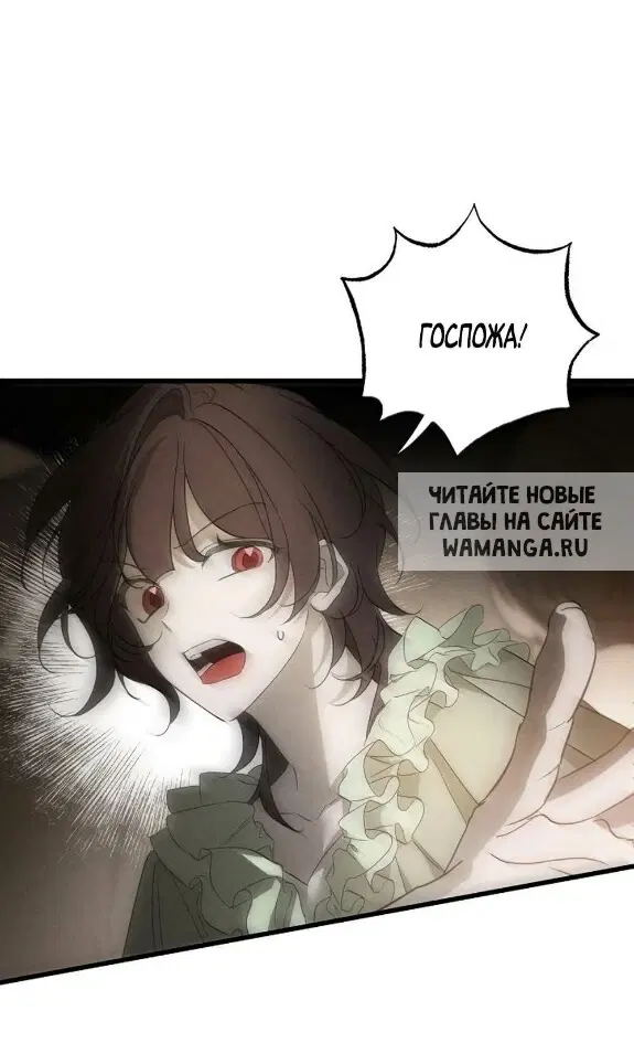 Page 25.000