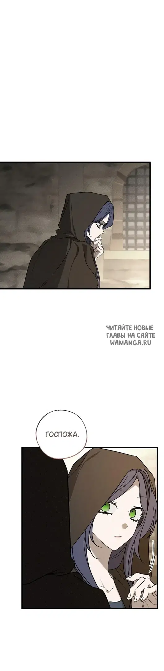 Page 25.000