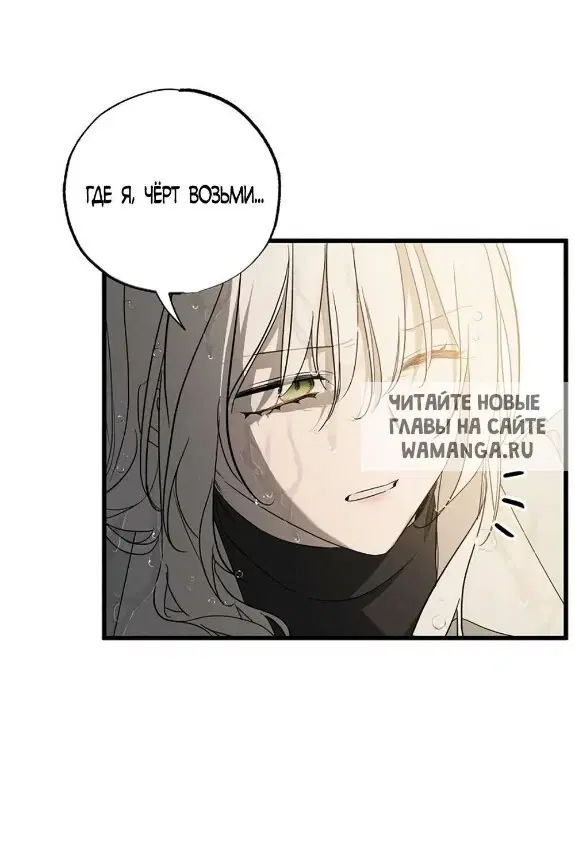 Page 36.000