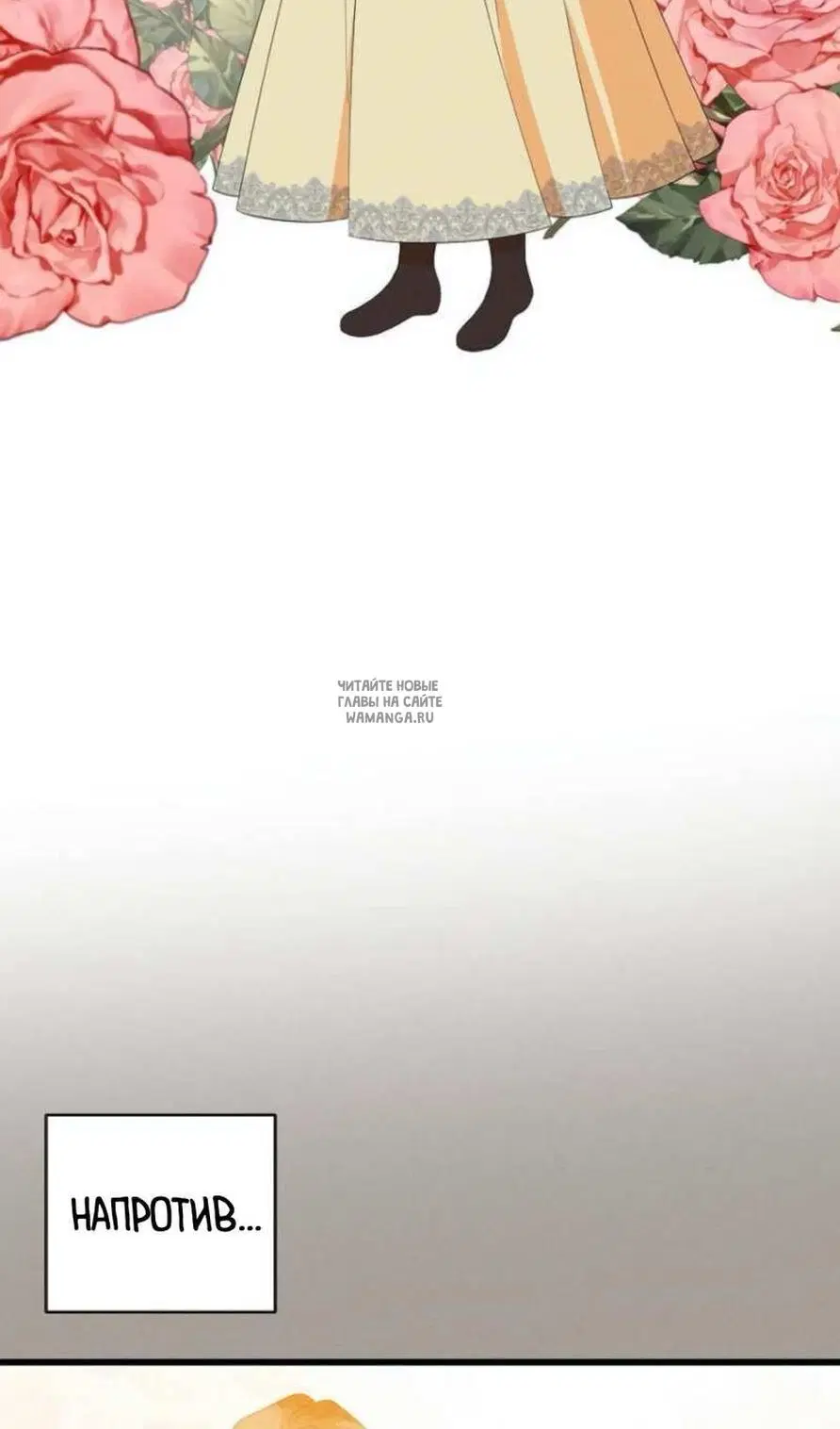 Page 31.000