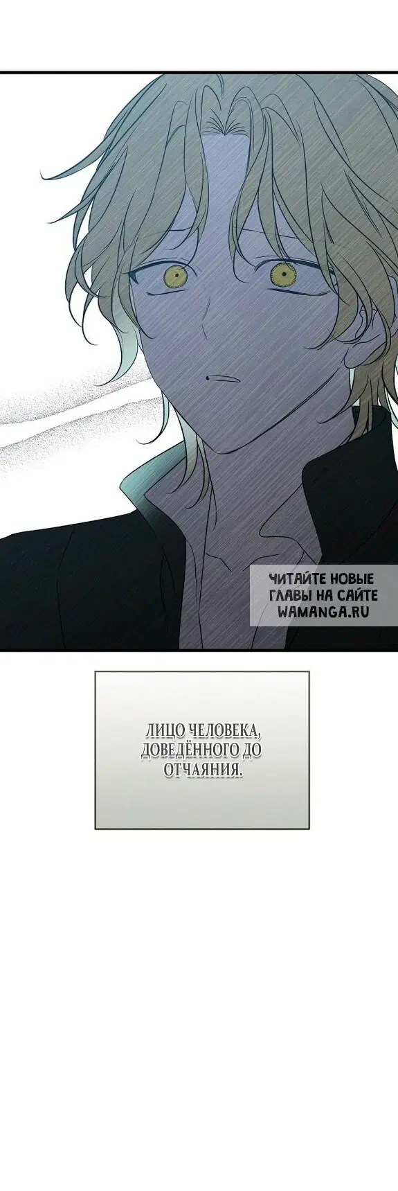 Page 32.000
