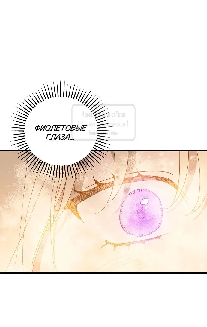 Page 50.000