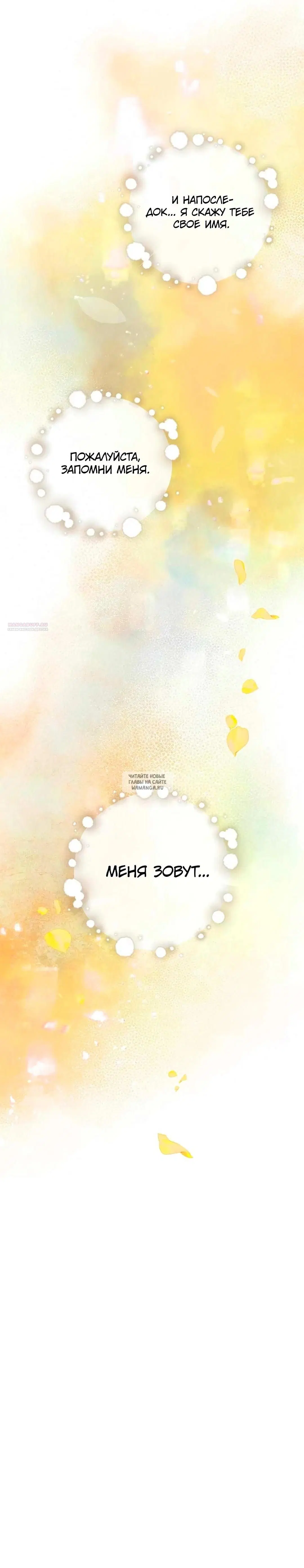 Page 53.000