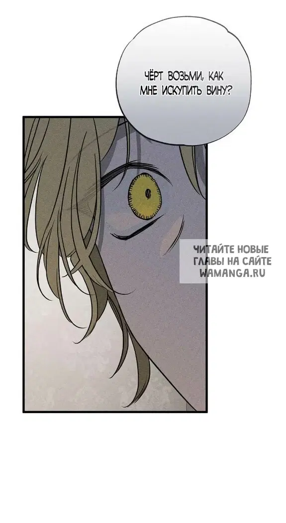 Page 61.000
