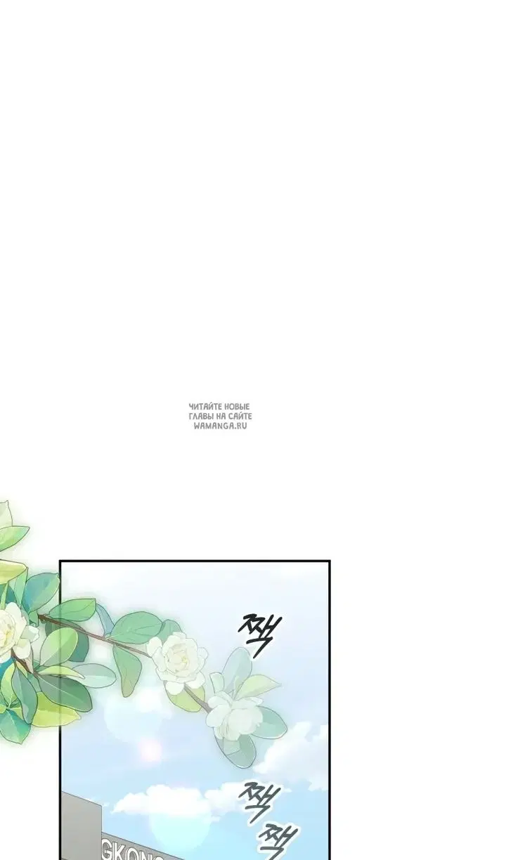 Page 48.000