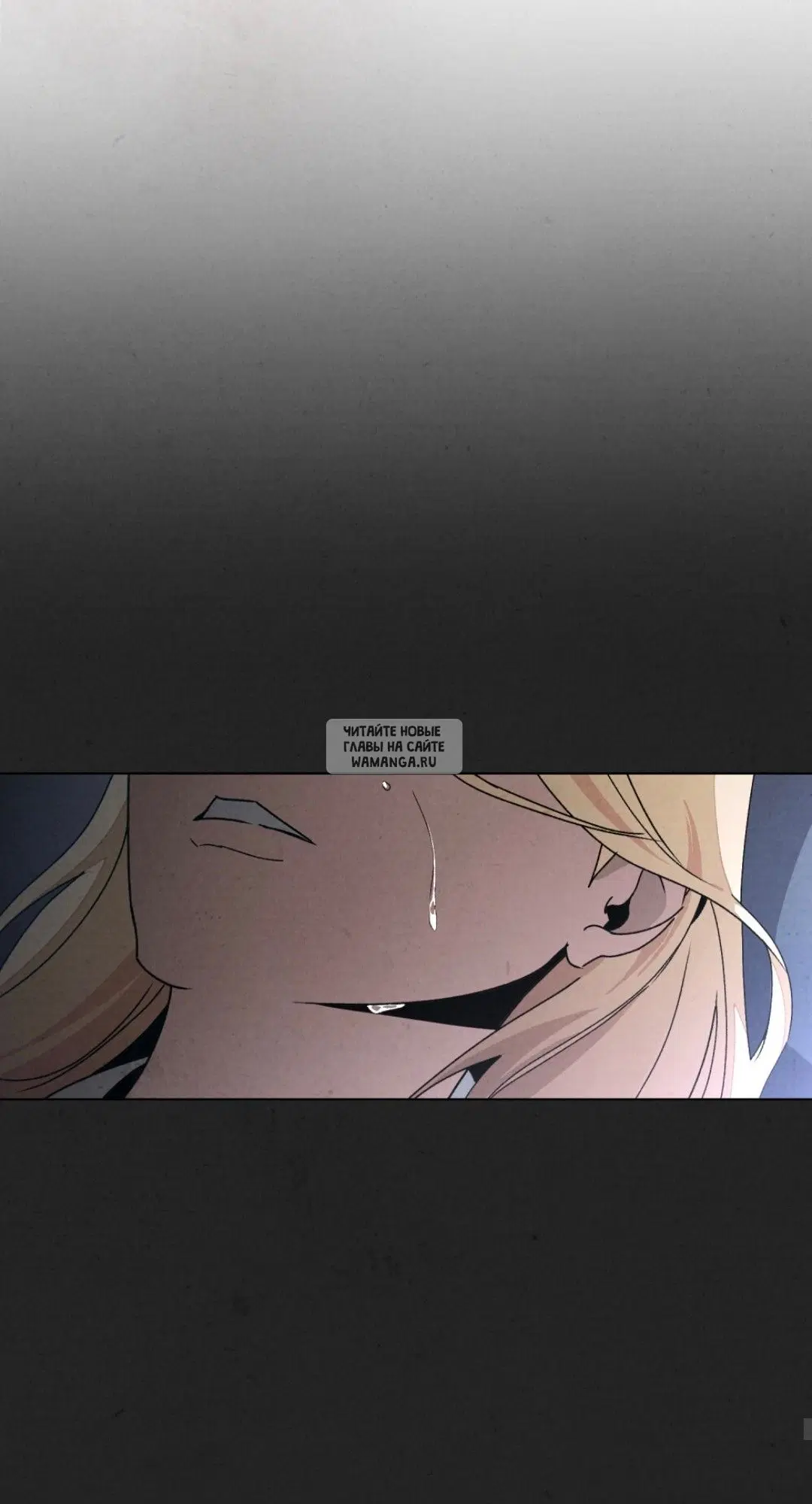 Page 53.000