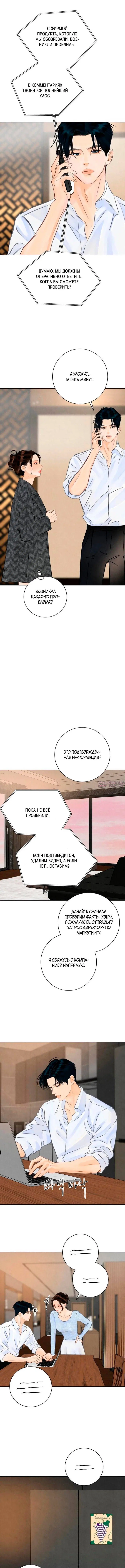 «До того, как созреет виноград», глава 15, страница 5.000000000