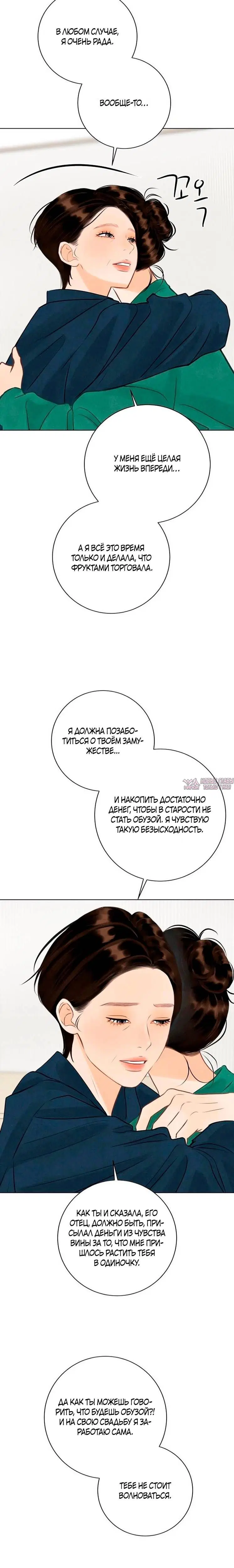 «До того, как созреет виноград», глава 15, страница 1.001000000