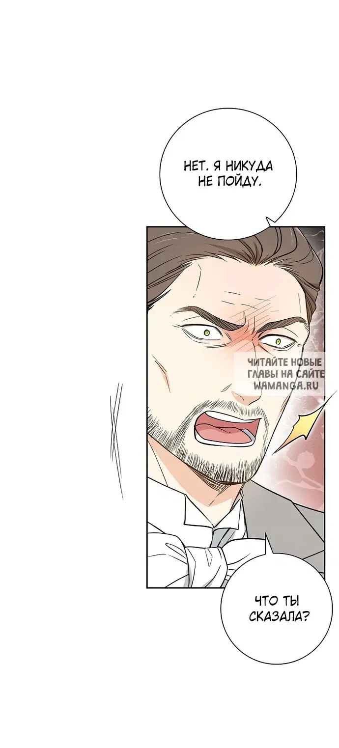 Page 51.000