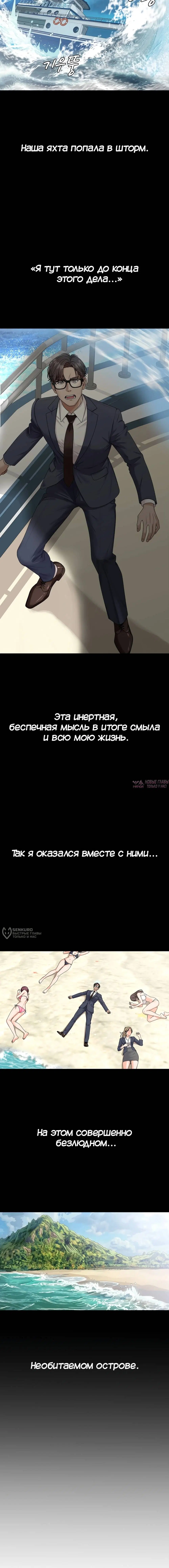 «Хозяин необитаемого острова», глава 1, страница 6.000000000
