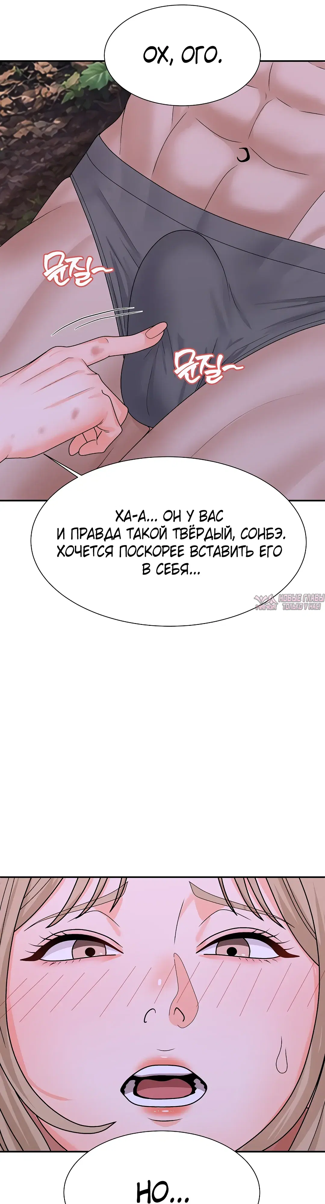«Хозяин необитаемого острова», глава 19, страница 41.000000000