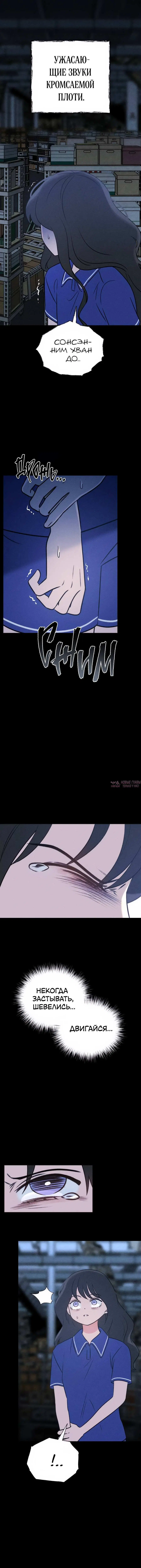 Page 11.001