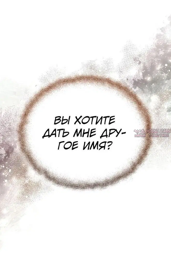 Page 81.000000000