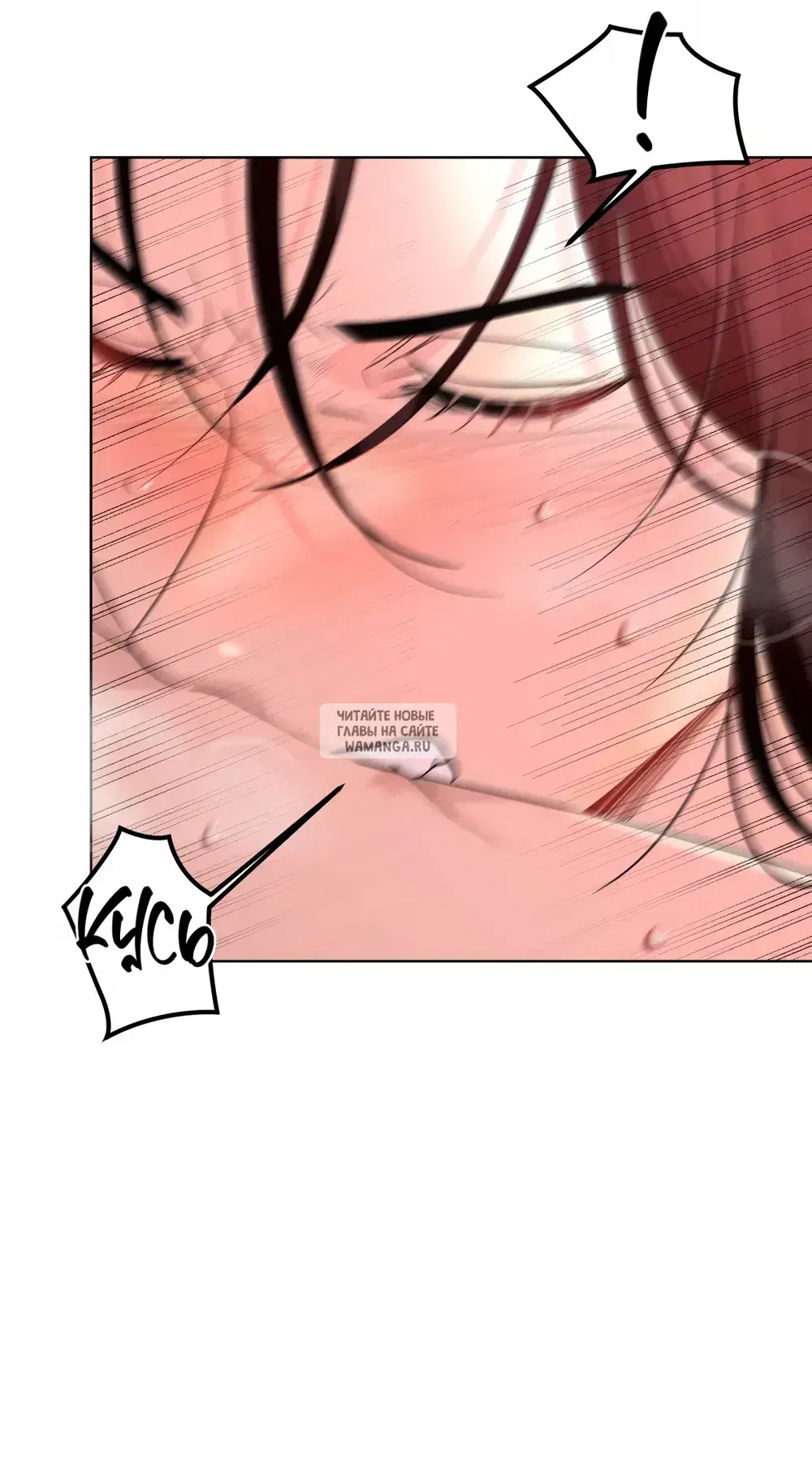 Page 41.000
