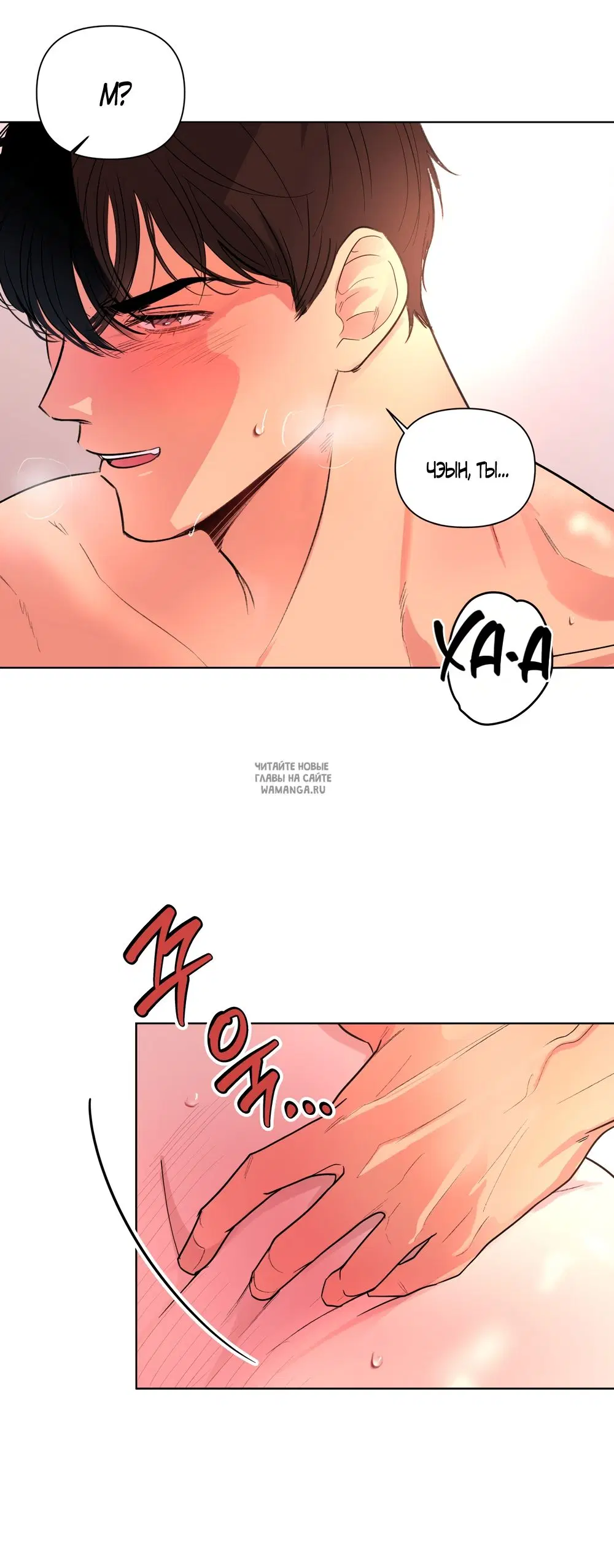 Page 41.000