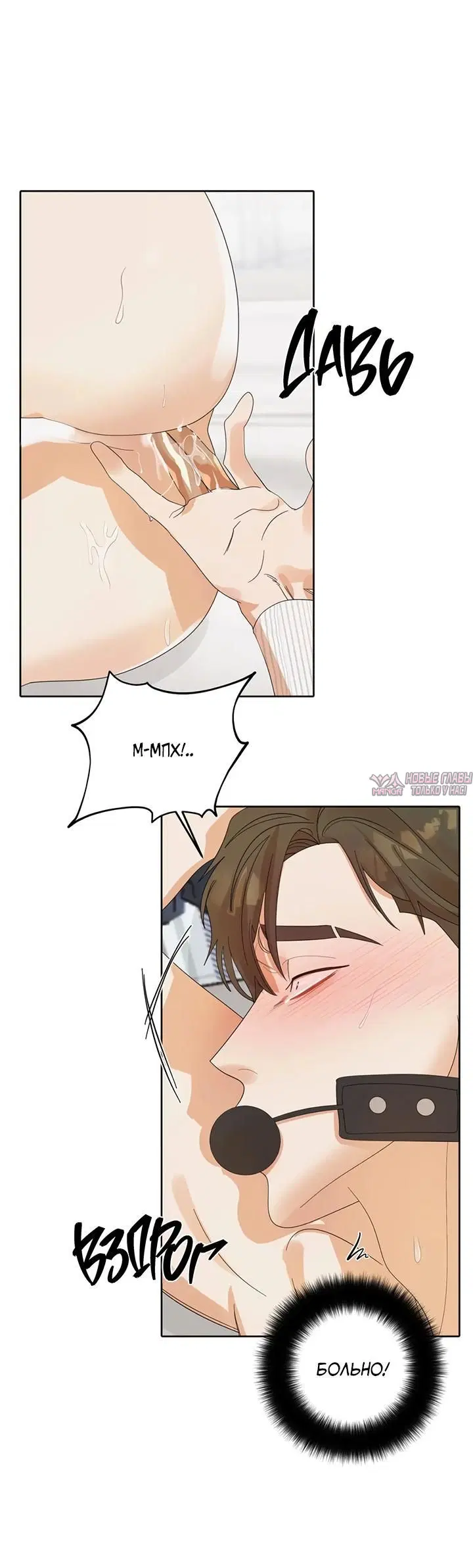 Page 5.001