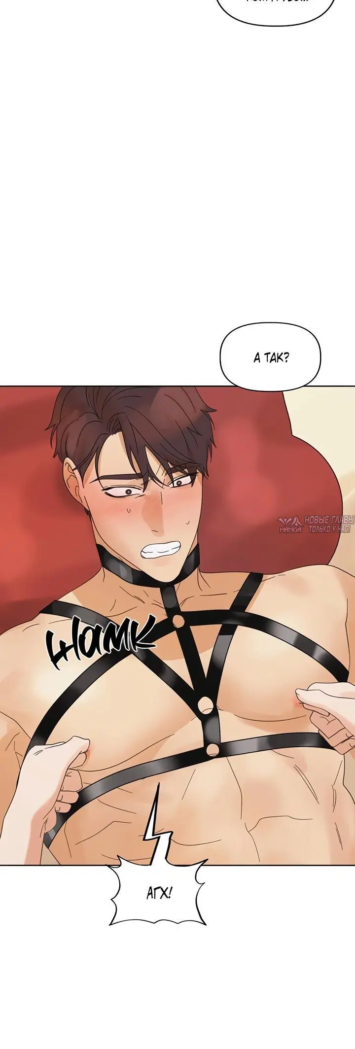 Page 5.001