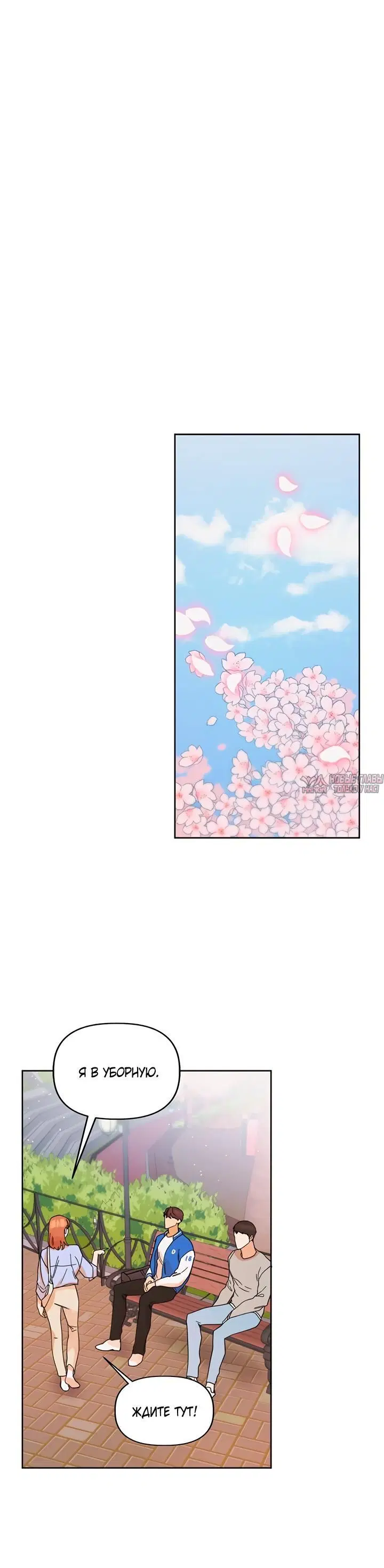 Page 5.001