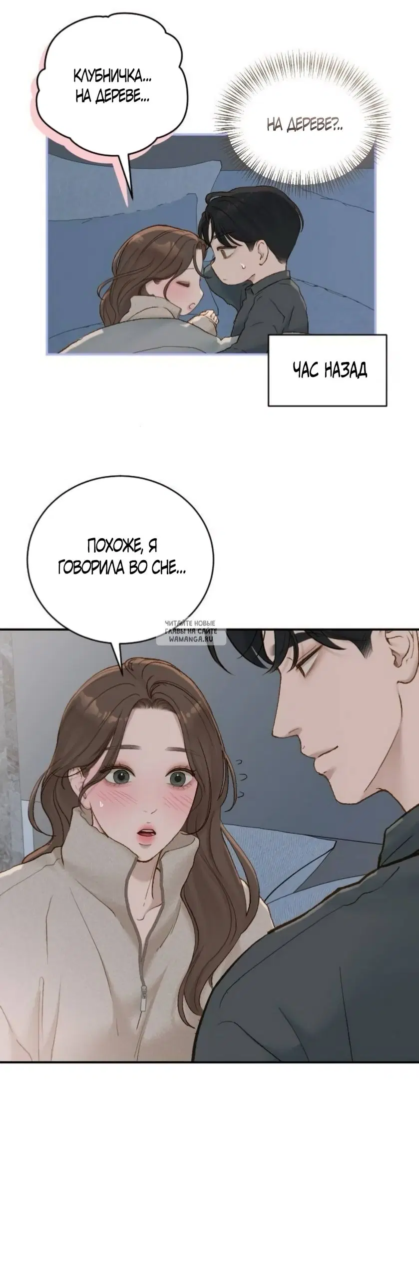 Page 41.000