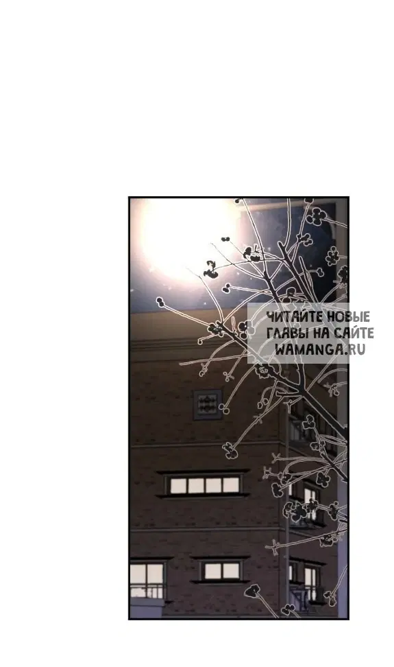 Page 51.000