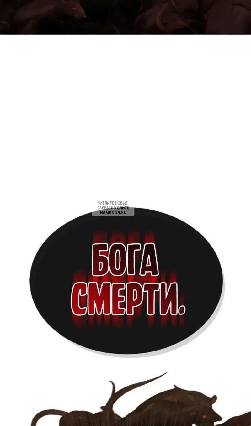 Page 42.000