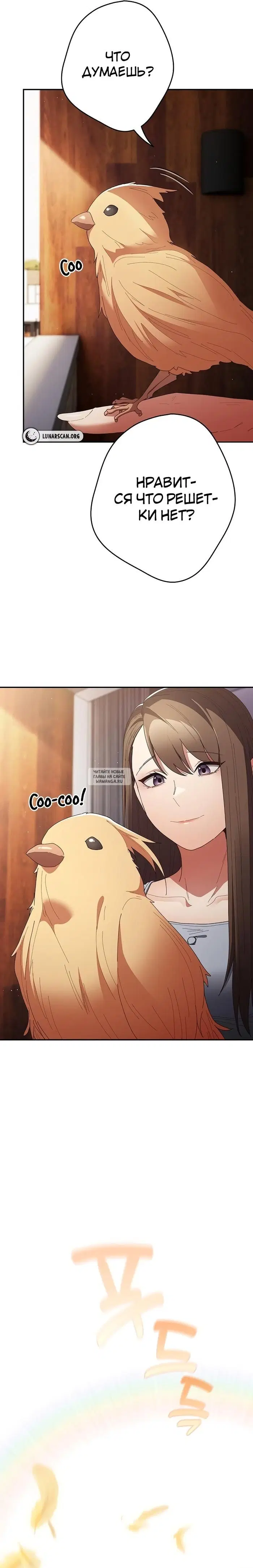 Page 24.000
