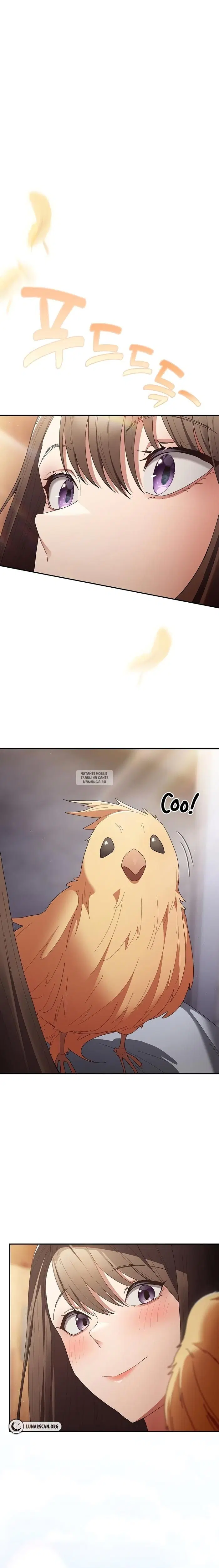 Page 26.000