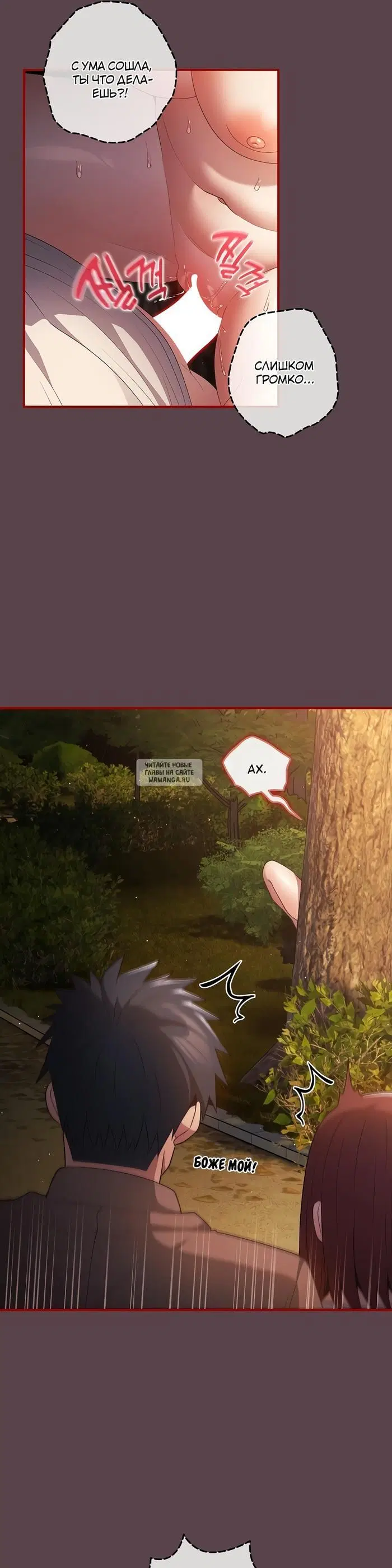 Page 41.000