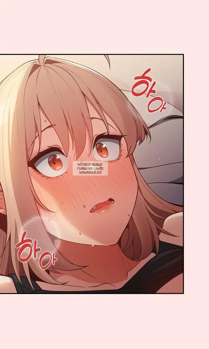 Page 43.000