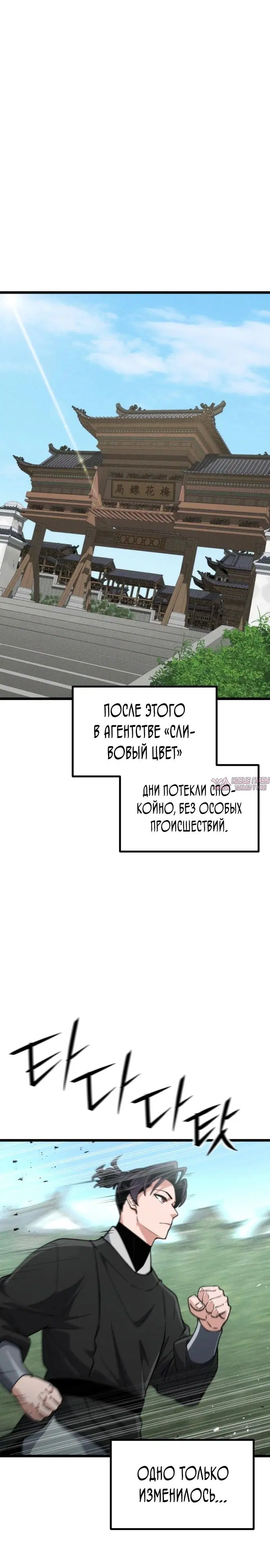 «Гениальная девушка скрывает свои достижения в боевых искусствах», глава 42, страница 25.000000000