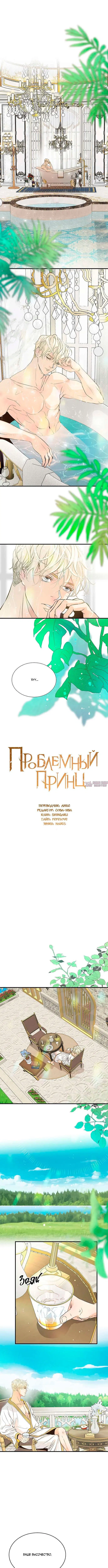 «Проблемный принц», глава 2, страница 4.000000000