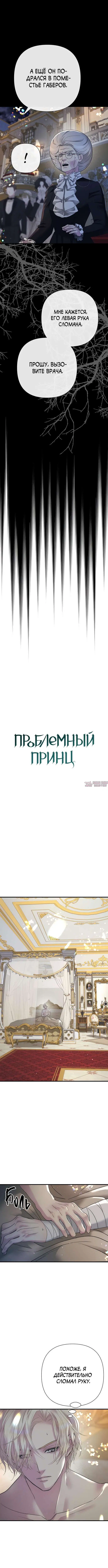 «Проблемный принц», глава 119, страница 6.000000000