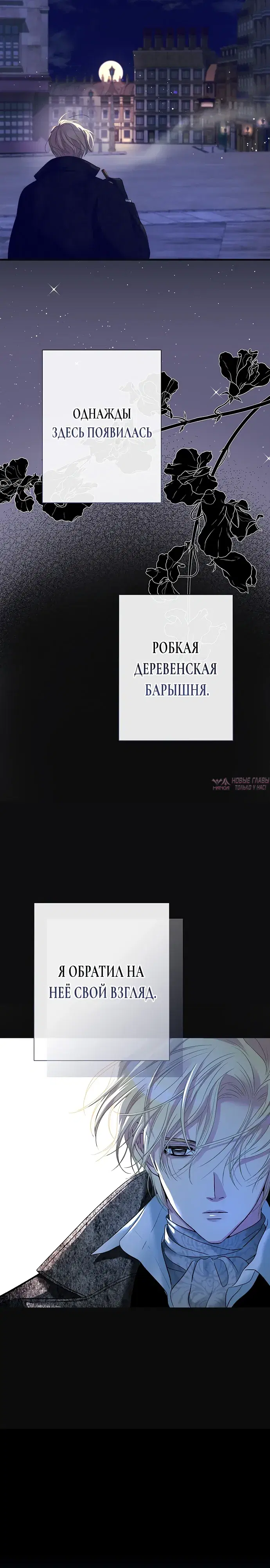 Page 7.000000000