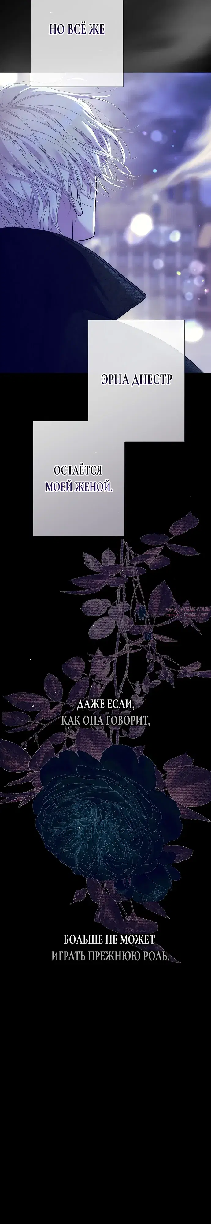 Page 17.000000000