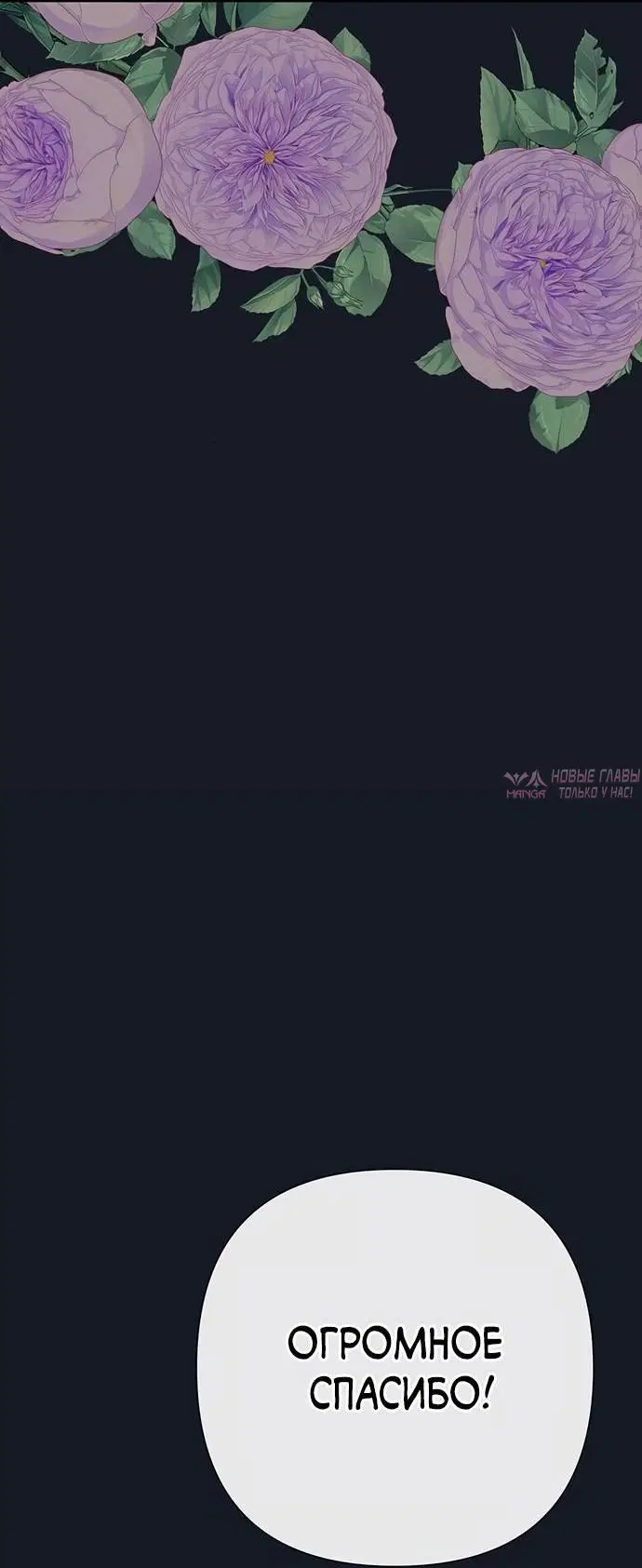 Page 41.000000000