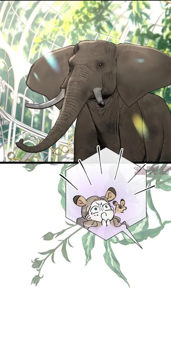 Page 45.000000000
