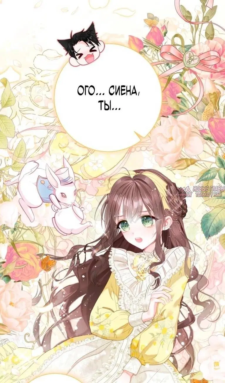 Page 47.000