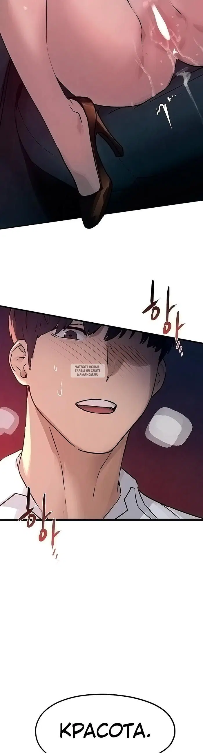Page 36.000