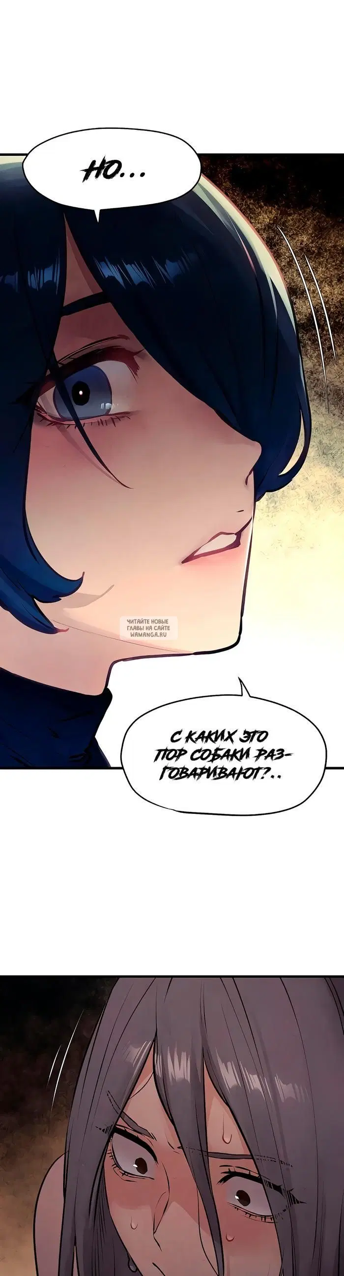 Page 39.000
