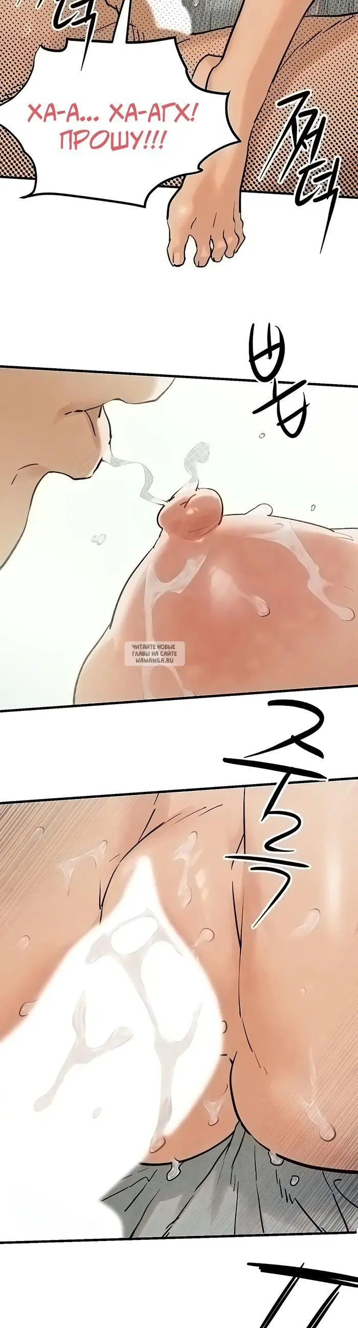 Page 31.000