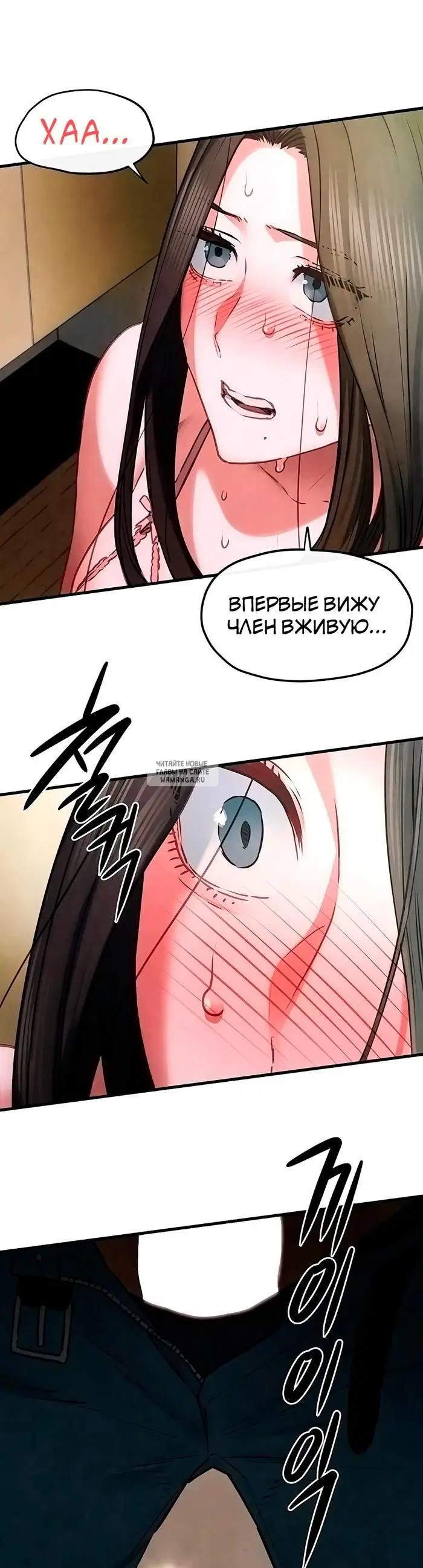 Page 41.000