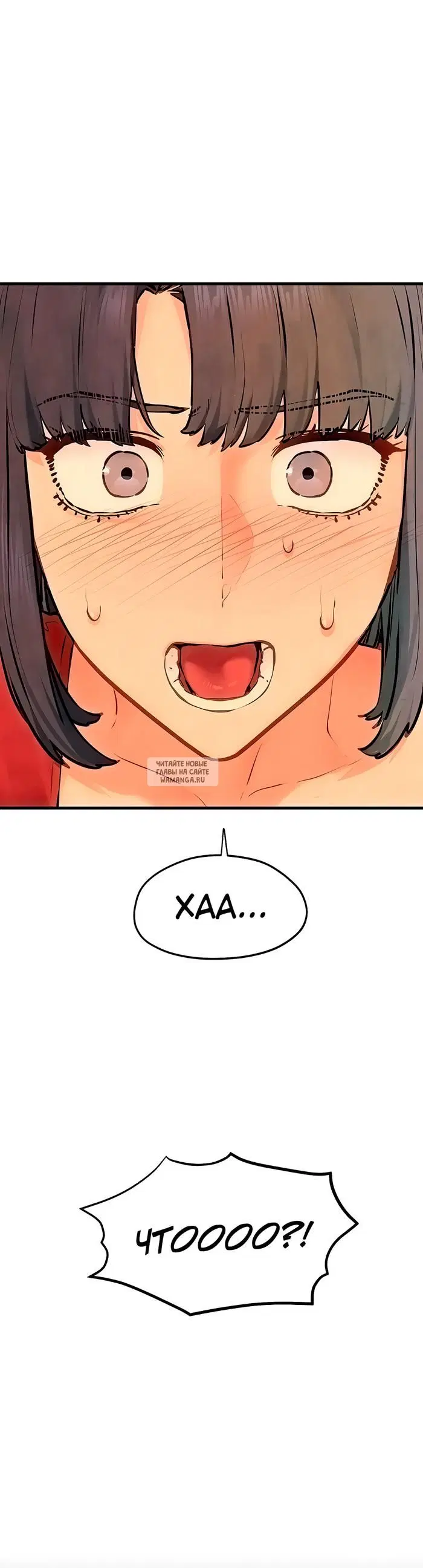 Page 41.000