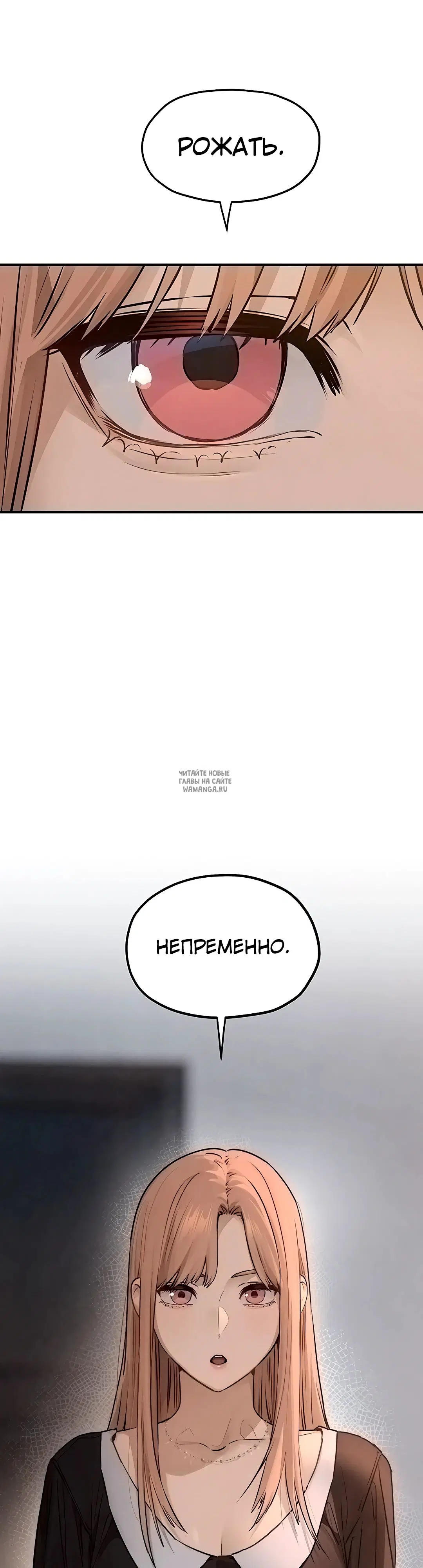 Page 43.000