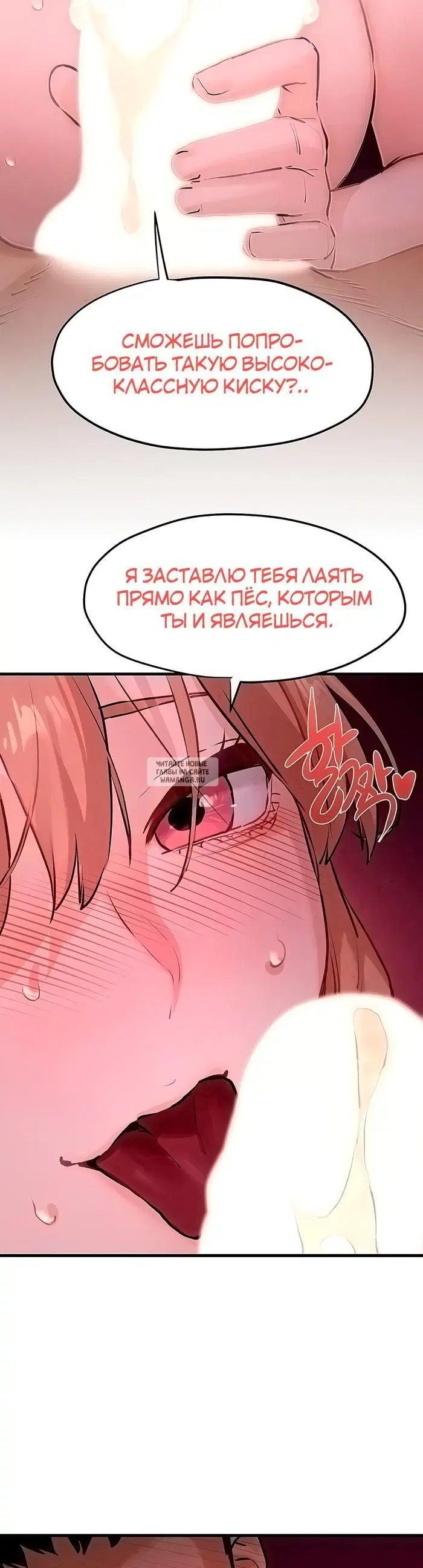 Page 50.000