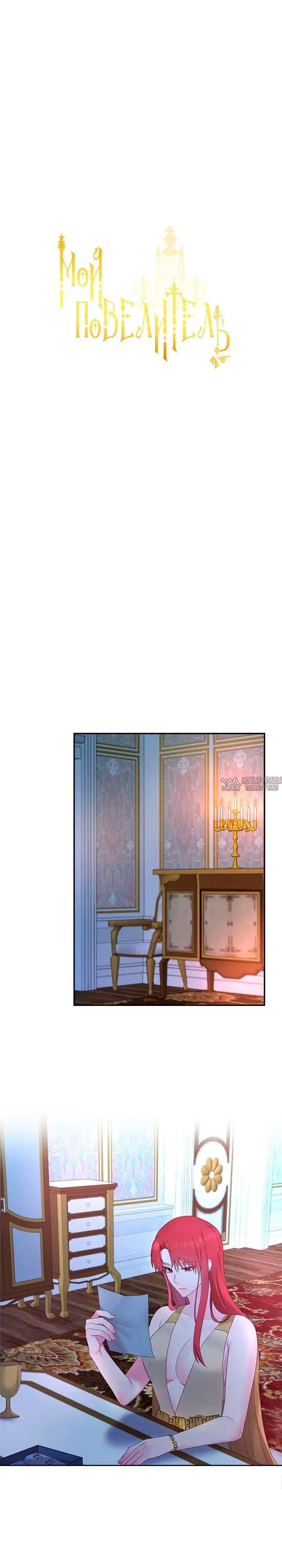«Мой Повелитель», глава 19, страница 1.001000000