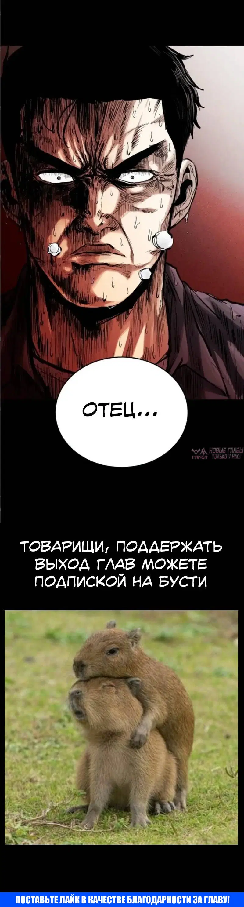 Page 26.000